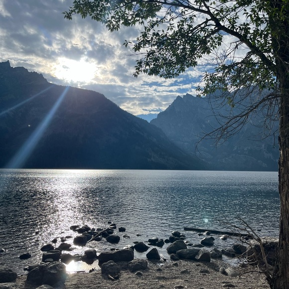 Meet your Posher, Jackie - Picture 2 of 2